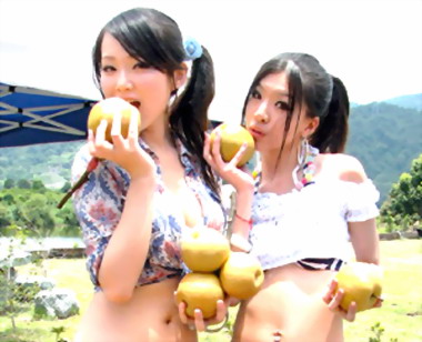 苗縣寄接梨即日起評鑑與展售(圖)