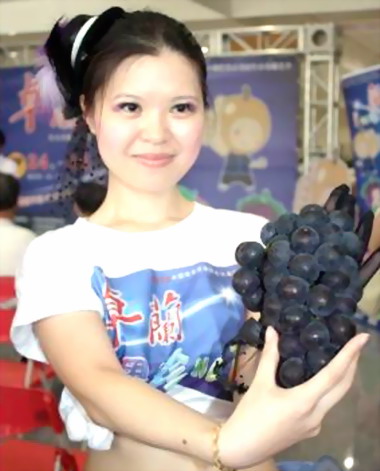 卓蘭觀光季活動24日開鑼(圖)