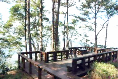 炎炎炎夏日遊雪見避暑又養生(圖)