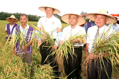 周錫瑋體驗農夫收割喜悅(圖)