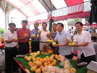 新埔水梨節暨新埔地區模範父親表揚(圖)