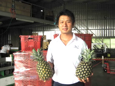 屏東外銷鳳梨價格好(圖)