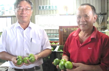 檸檬是最佳美容聖品(圖)