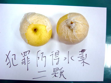 男子偷二顆梨吃上竊盜官司(圖)