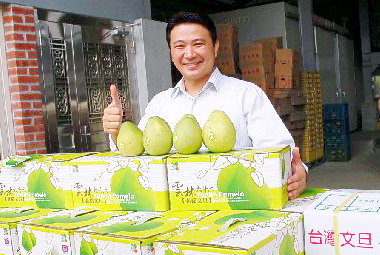 斗六文旦柚今年搶先搶灘中國(圖)