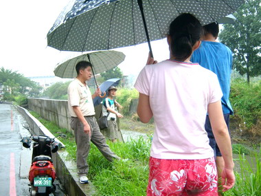 屏東殺蛇溪飽受淹水之苦議員前往勘察(圖)