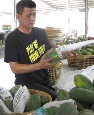 屏東木瓜外銷中國大陸穩定中持續增加(圖)