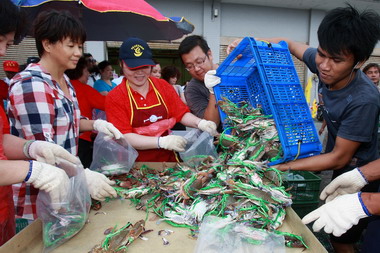 「萬里螃蟹季」今日在野柳漁港登場(圖)
