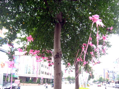 大里市一夕粉紅色緞帶花市容變美麗(圖)