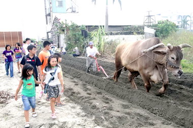 南市總頭寮文化祭今登場(圖)