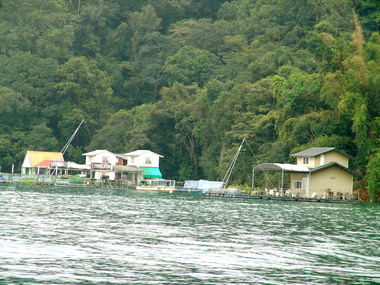 李朝卿：訂定管理方案解決日月潭違法船屋(圖)