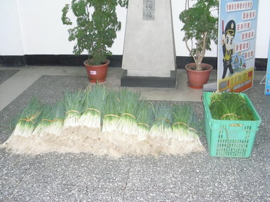 笨賊偷物要賣失主被逮(圖)