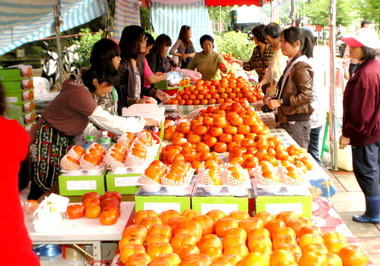 苗栗南庄山水節今登場(圖)