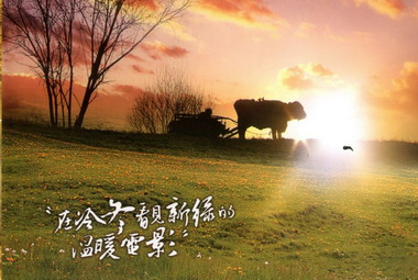 台灣影像部落閣11/20播映「牛鈴之聲」(圖)