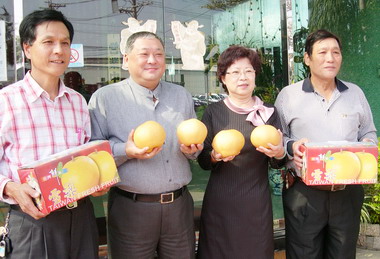 太平農會輔導果農種植雪梨成功(圖)