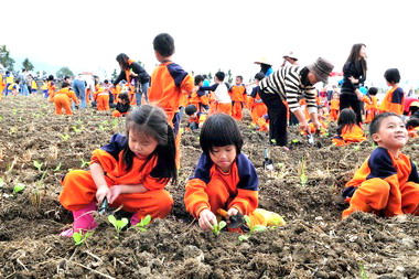 全國客家福菜節今登場(圖)