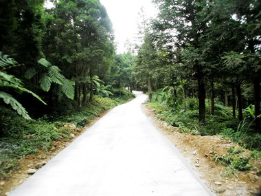 劉政鴻勘查南庄鄉大坪林道改善工程(圖)