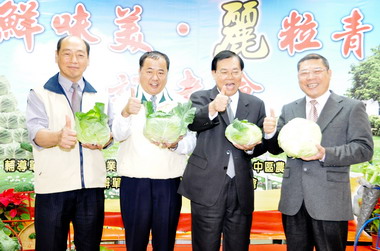 彰縣大宗蔬菜創意行銷高麗菜搶先開跑(圖)