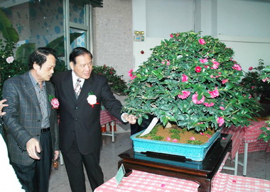 2010新竹市茶花節開幕典禮(圖)