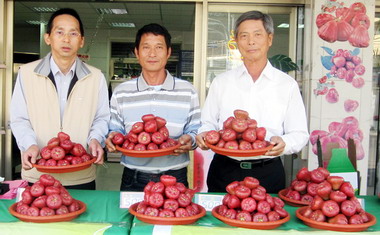 屏東林邊農會設蓮霧銷售門市服務消費者(圖)