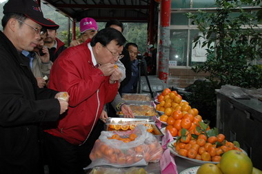 海梨柑果品評鑑暨創意柑桔餐發表活動(圖)