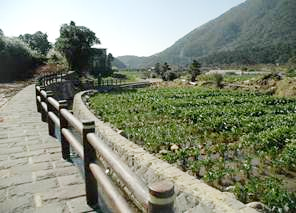 臺北市溪流近自然工法最佳典範--竹子湖(圖)