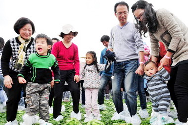 苗栗全國客家福菜節  千人踏鹹菜(圖)