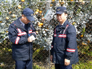永光警所加強茂谷柑園巡邏  保護農民財產(圖)