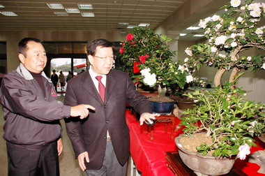 竹縣小花博「新埔茶花季」過年來賞茶花(圖)