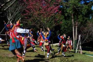 九族櫻花祭(圖)