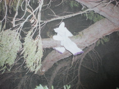 偷樹遭發現 謊稱樹上睡覺 竊盜罪嫌法辦(圖)