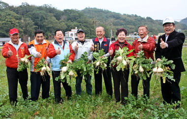 頭屋蘿蔔節2/12.13.熱烈登場(圖)