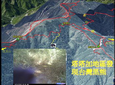 塔塔加熊出沒玉管處呼籲登山客結伴同行(圖)