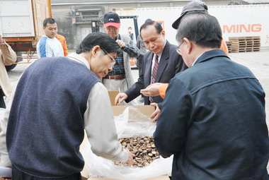 高雄國際馬拉松 吸引2萬多人參加(圖)