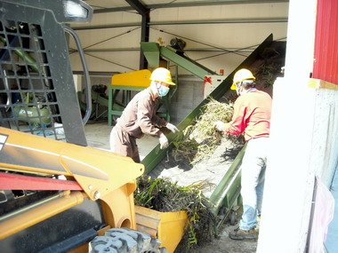 嘉縣首座檳榔梗廢棄物堆肥場今啟用(圖)