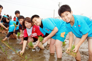 反霸凌日黃敏惠帶學童種稻培養互助友愛(圖)