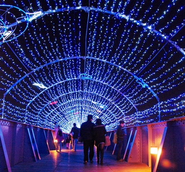 高雄燈會提供賞燈路線提供民眾快樂逛(圖)