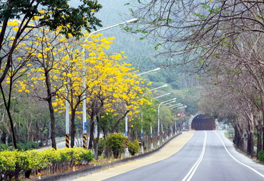集集台16線成為黃金花道(圖)