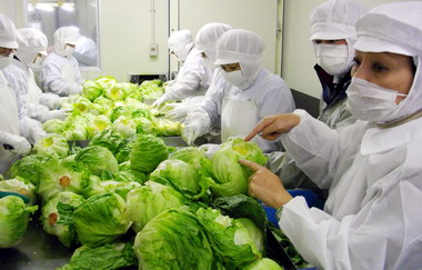 張花冠參訪宇都宮市生鮮蔬菜節切工廠(圖)