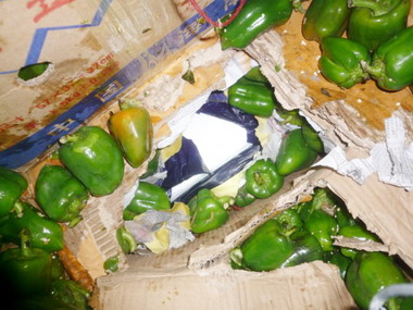 高雄關稅局查獲貨櫃匿藏走私毒品(圖)