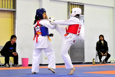 苗栗縣主委盃跆拳錦標賽開打 好手展現絕技(圖)