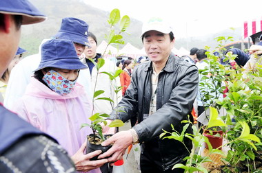 苗縣辦千人植樹活動(圖)