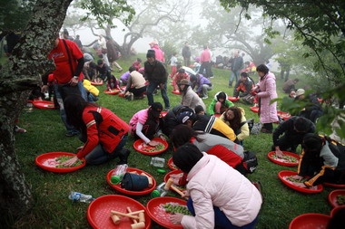 信義鄉梅子節系列活動(圖)