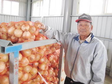 屏東洋蔥進入產季價格看俏(圖)