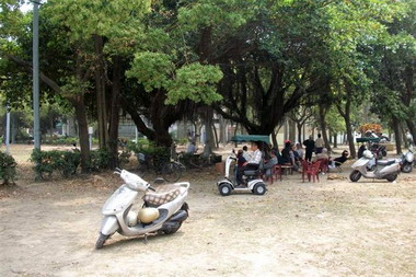 斗六民眾反映斗六公園「老人聚賭」(圖)