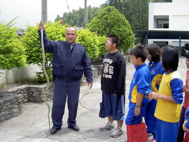 校園大蛇出沒員警示範抓蛇(圖)