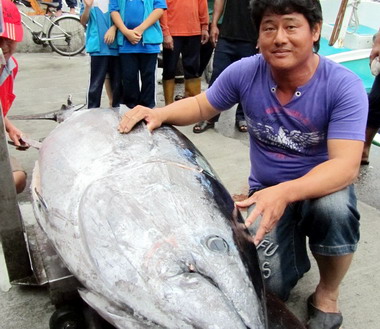 屏東黑鮪魚季「第一鮪」確認 5月3日拍賣(圖)