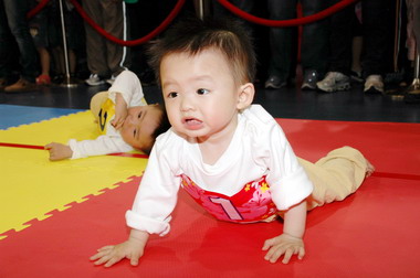 竹縣桐花寶寶爬行大賽今熱鬧展開(圖)