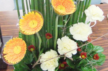 農糧署：母親節送國產花禮 幸福百分百(圖)