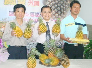 農糧署推動鳯梨生產專區 外銷創佳績(圖)
